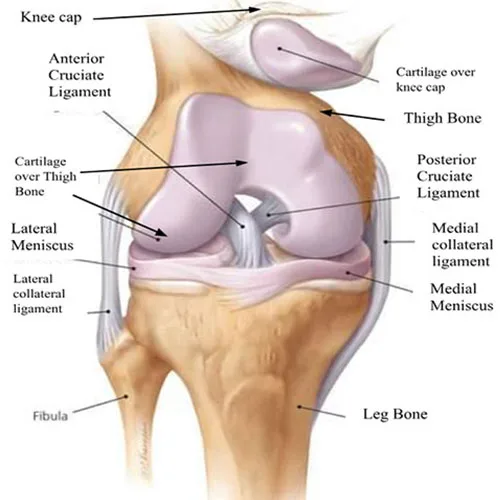 Osteoarthritis of knee